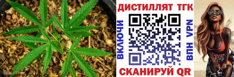 Дистиллят ТГК концентрат  Новосибирск 